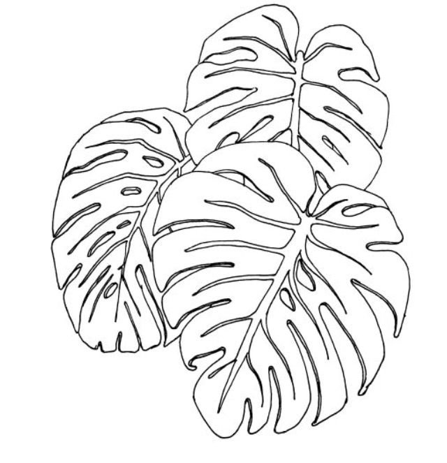 Тропические листья трафарет