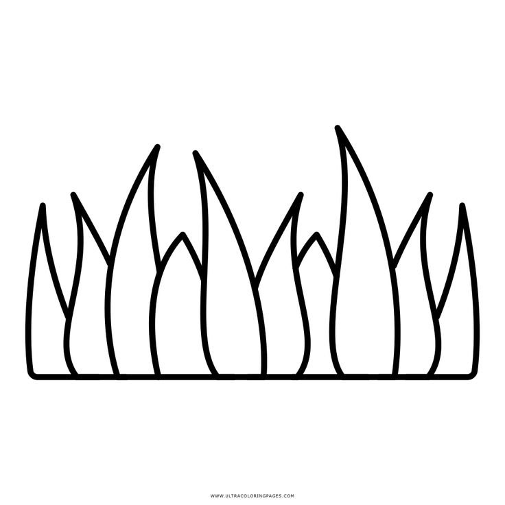 Травка раскраска для детей