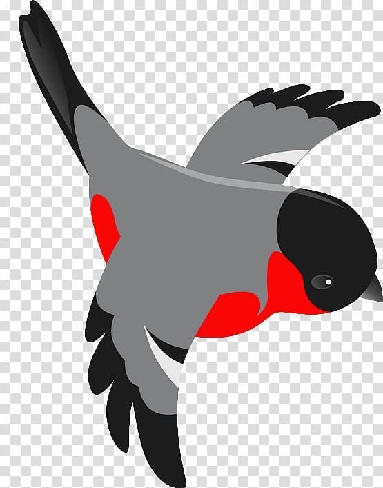 Снегирь для детей