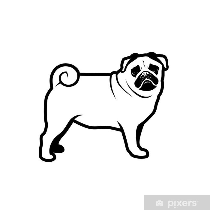 Раскраска собака Мопс