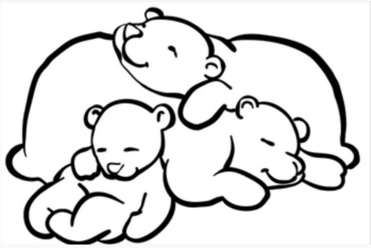Медвежонок раскраска для детей