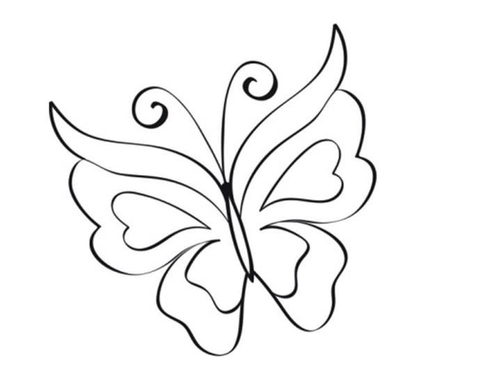 Бабочка рисунок карандашом