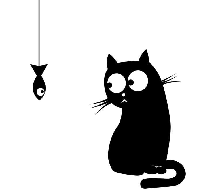 выглядывающий кот