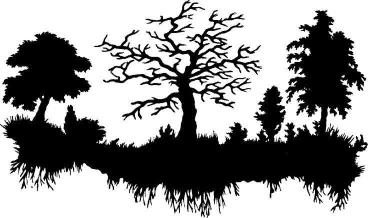 Силуэт леса