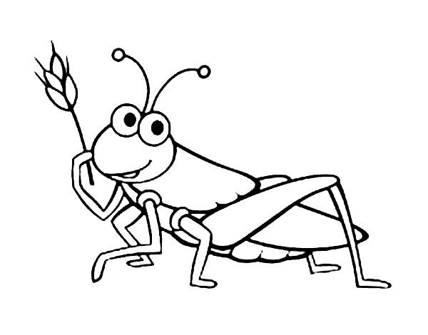 Кузнечик раскраска