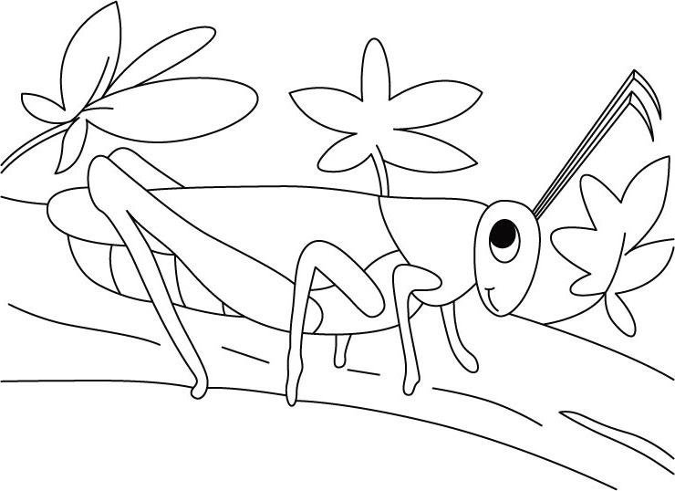 Кузнечик раскраска