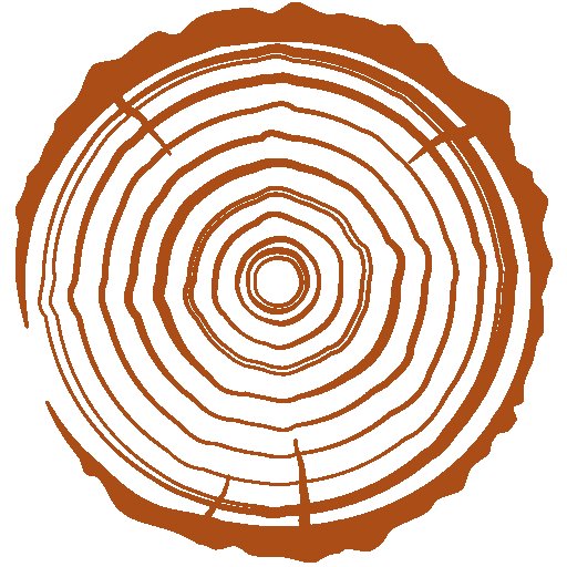 Срез бревна