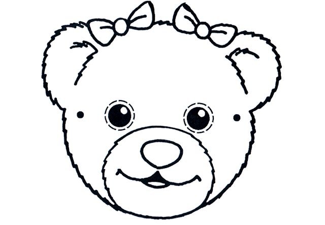 Мордочка медведя