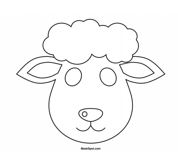 Мордочка овечки