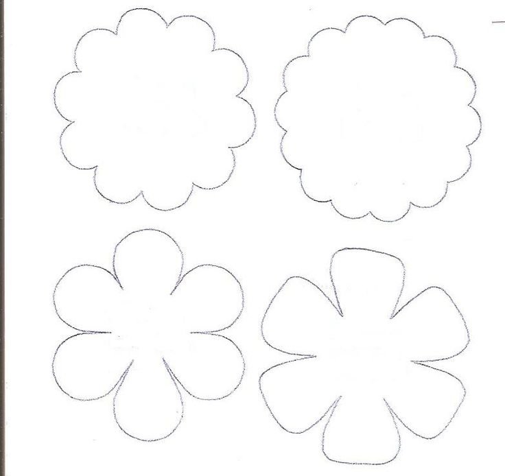 Цветок шаблон