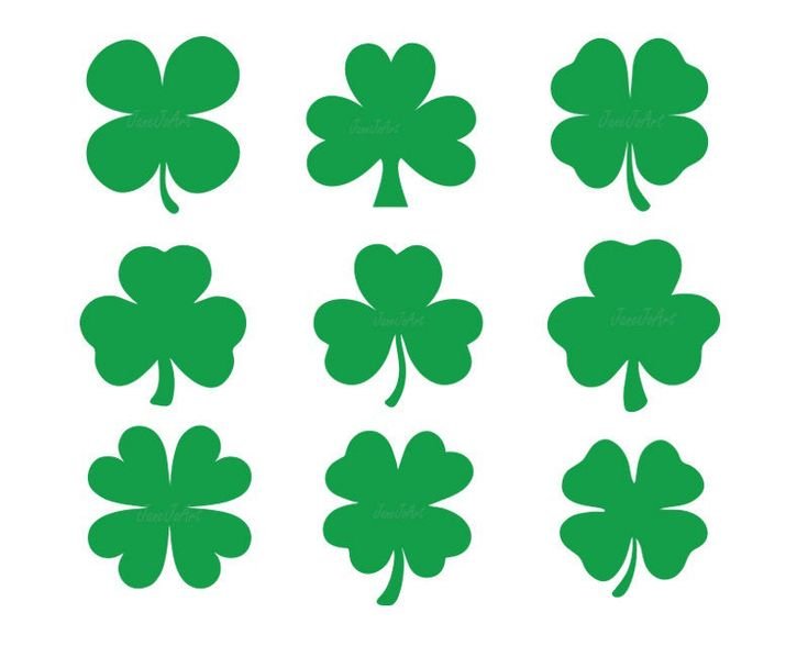 4 Leaf Shamrock