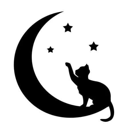Котик на Луне поделка