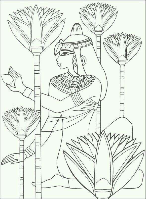 Древний Египет раскраска