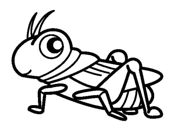 Кузнечик раскраска для детей