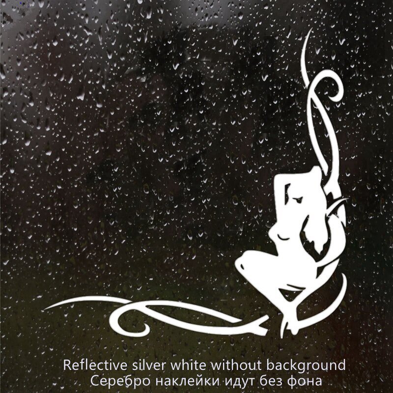 Наклейки на авто на боковые стекла