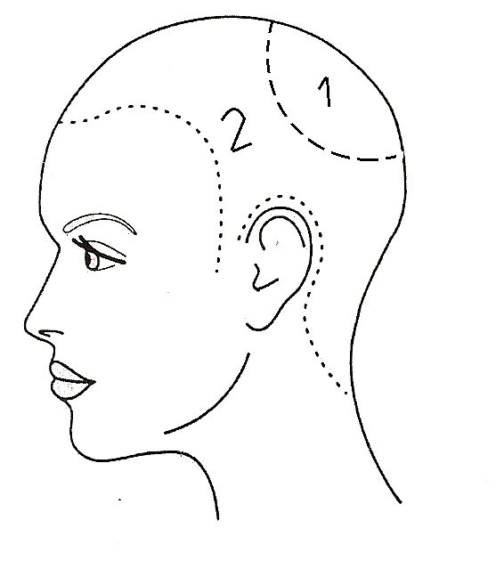 Эскиз головы для парикмахера