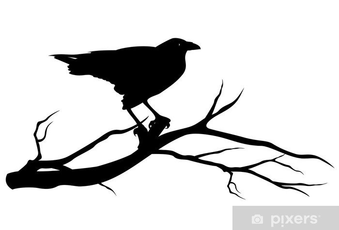 Ворон на ветке