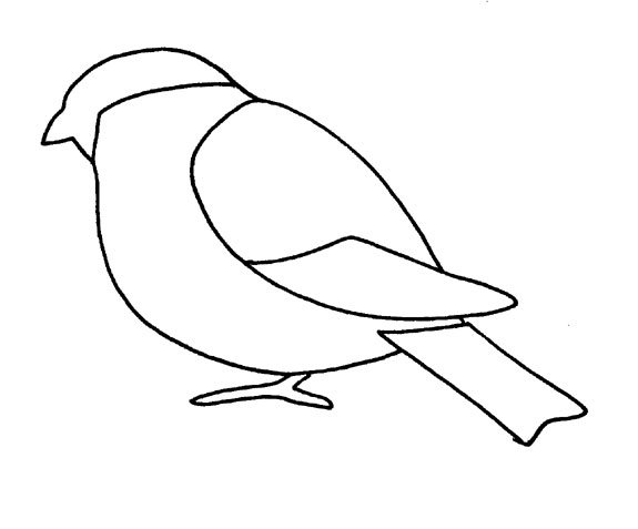 Трафарет снегиря для раскрашивания