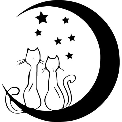 Кот на полумесяце