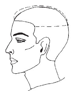 Схема головы для парикмахеров