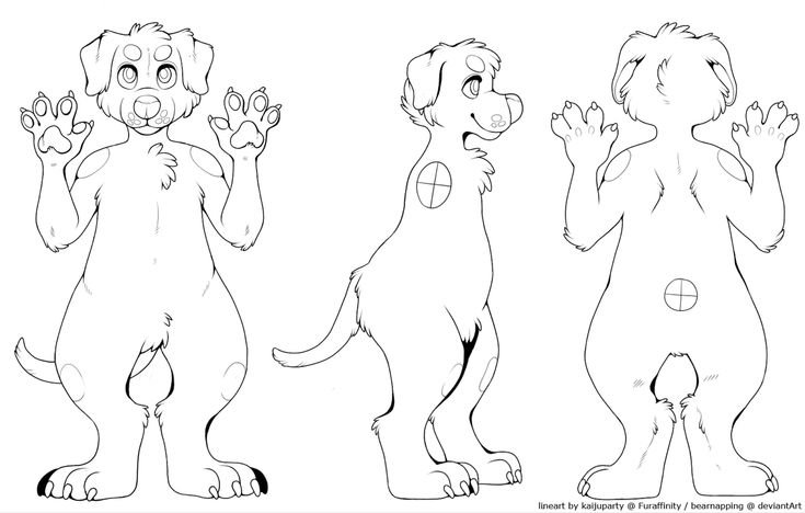 Фурсона референс лайн