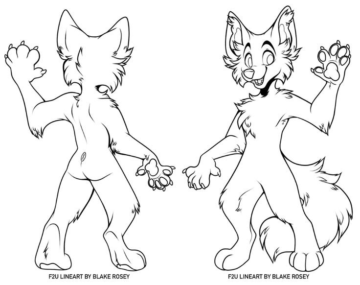 Референсы фурри лайн