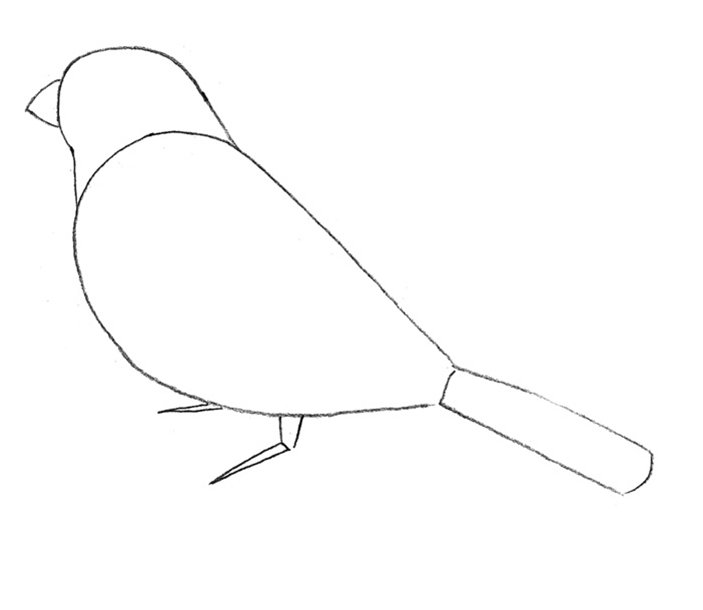 Трафарет птицы для рисования детям