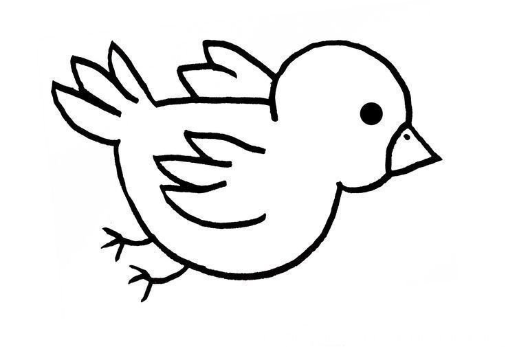 Воробей раскраска для детей