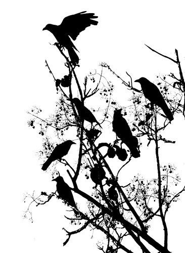 Силуэт птицы на дереве