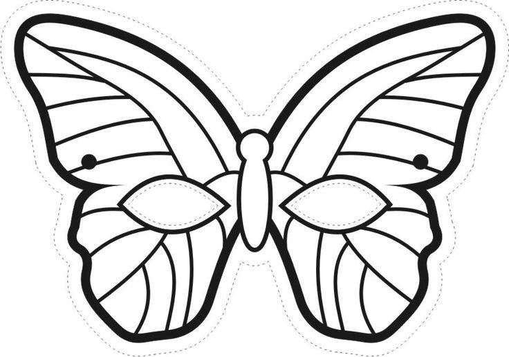 Раскраска "бабочки"