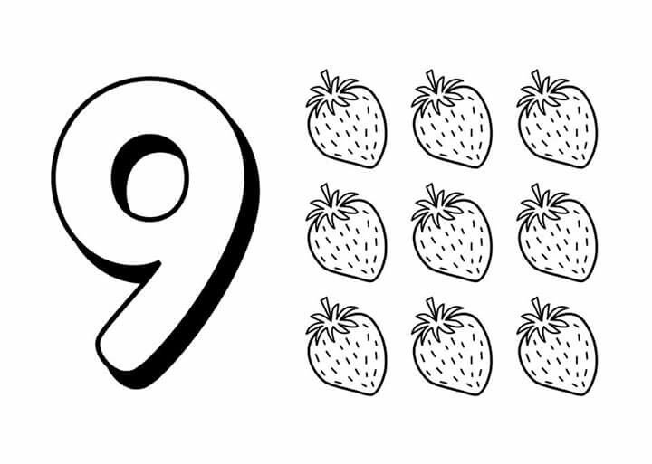 Раскраски для малышей