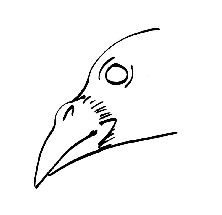 Клюв раскраска