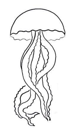 Медуза контур