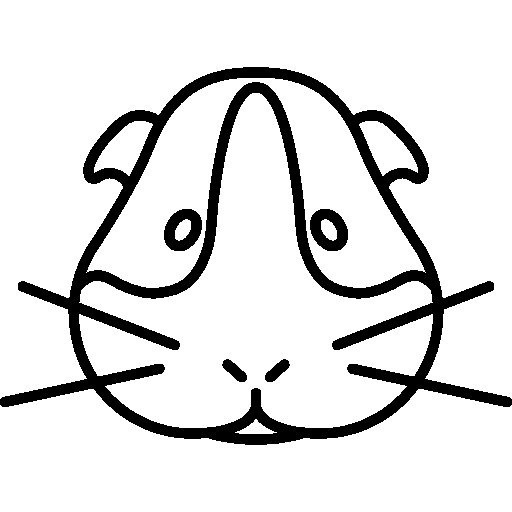 Рисунок хомяка для срисовки