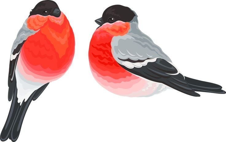 Снегирь мультяшный