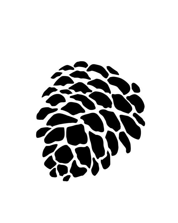 Шишка черно белая