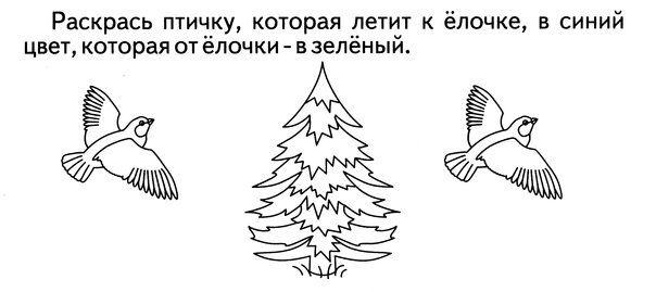 Снегирь в полете раскраска для детей