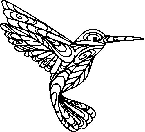 Птица Колибри для раскрашивания