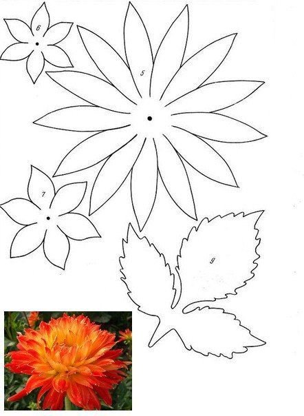 Цветы шаблон для аппликации