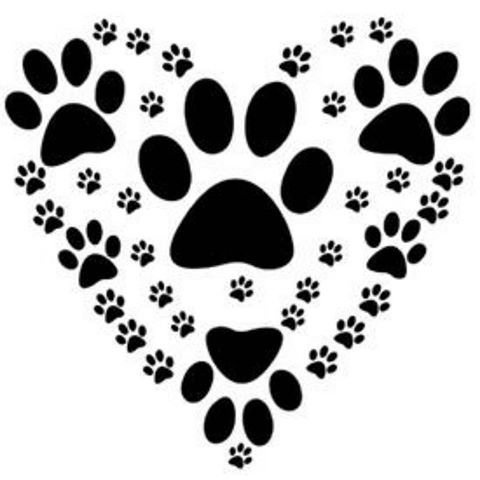 Лапа собаки