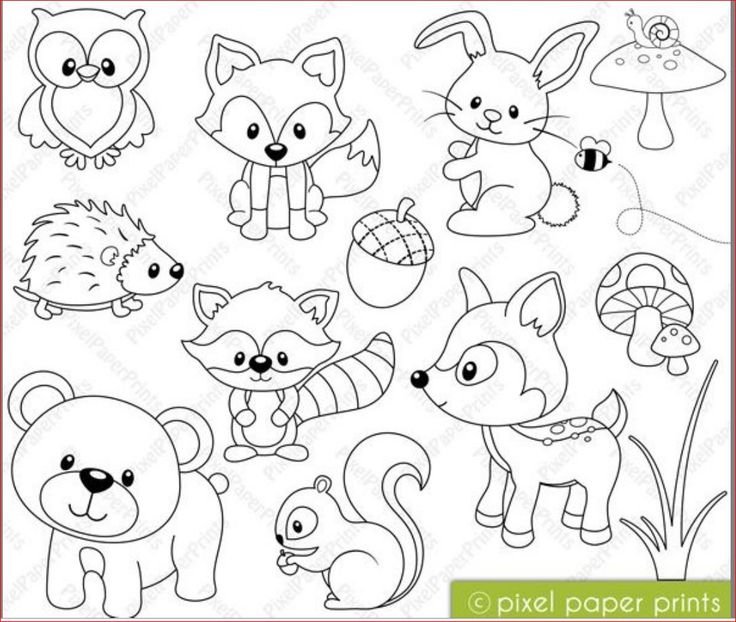 Картинки для раскрашивания животные