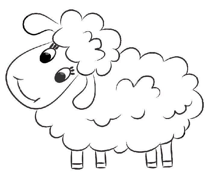 Овца раскраска