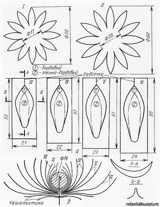 Шаблоны лепестков георгина