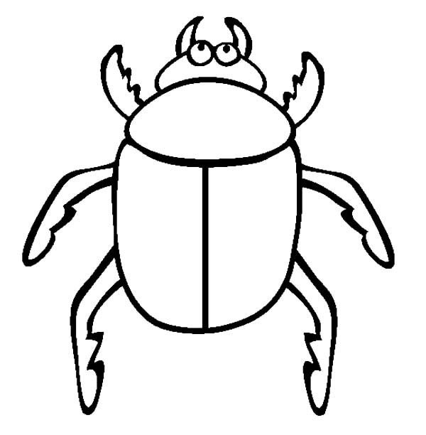 Жук скарабей раскраска
