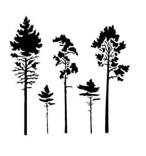 Силуэт леса