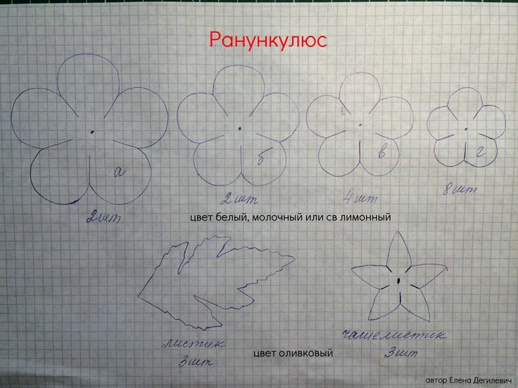 Ранункулюс выкройка цветка