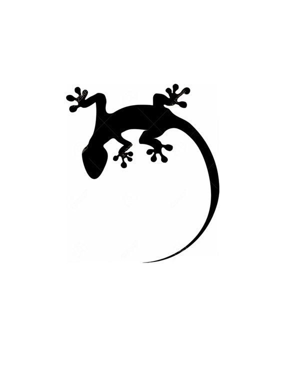 Ящерица Минимализм