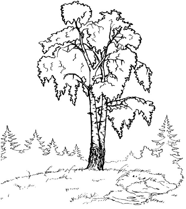 Лес раскраска для детей