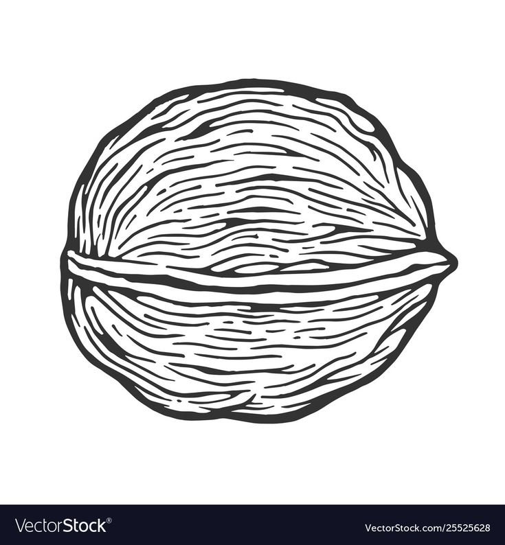 грецкий орех