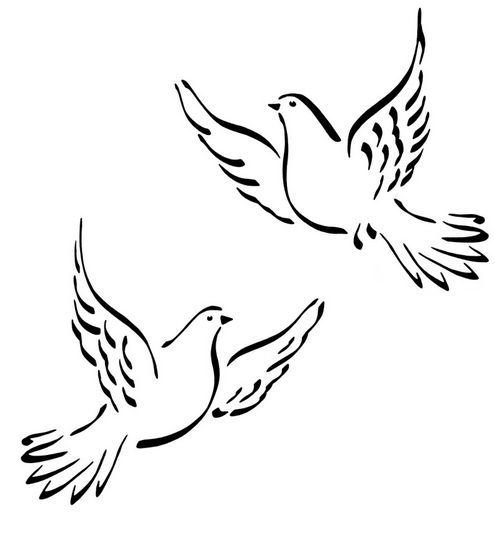 Голубь трафарет